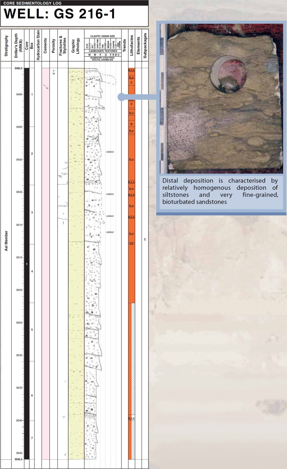 3c distal fan