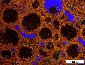 Reservoir Quality and Rock Type Analyses in Carbonate Rocks